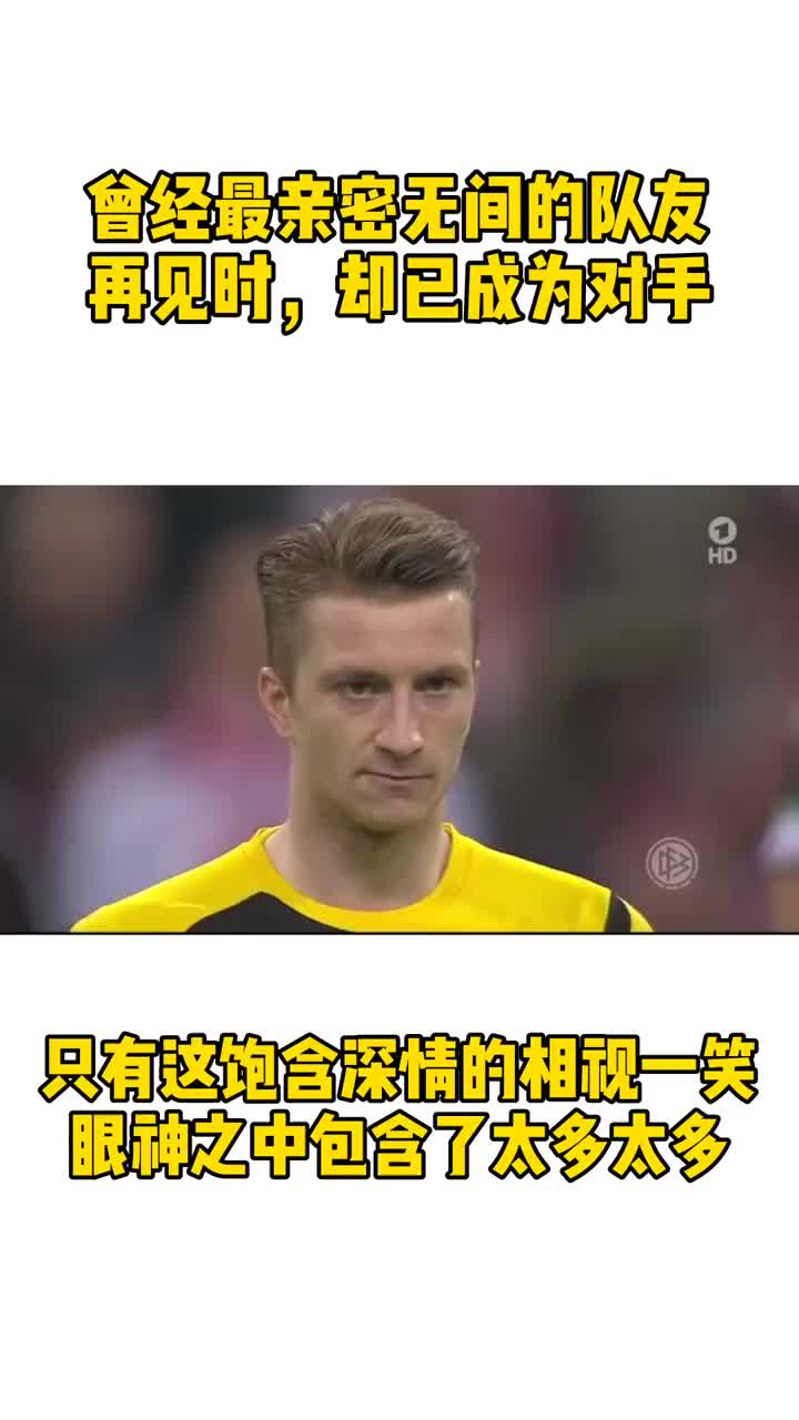 罗伊斯看着莱万后来你